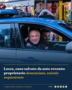 Lecce, cane salvato da auto rovente: proprietario denunciato, veicolo sequestrato
