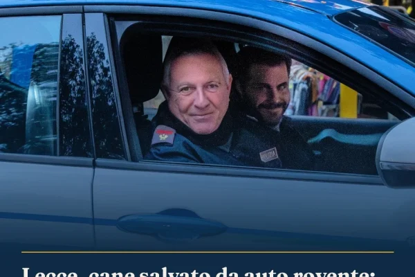 Lecce, cane salvato da auto rovente: proprietario denunciato, veicolo sequestrato