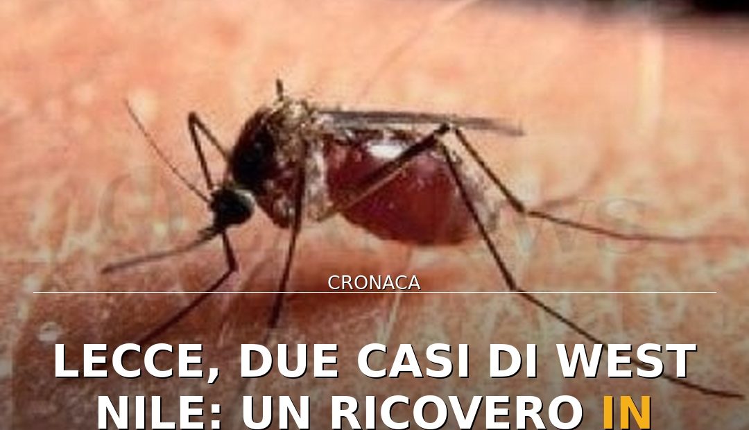 Anteprima di: Lecce, due casi di West Nile: un ricovero in rianimazione. ASL monitora