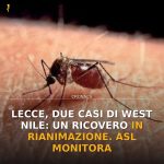 Anteprima di: Lecce, due casi di West Nile: un ricovero in rianimazione. ASL monitora