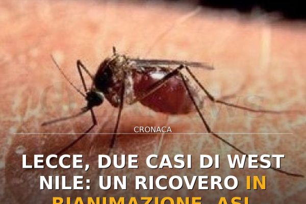 Lecce, due casi di West Nile: un ricovero in rianimazione. ASL monitora
