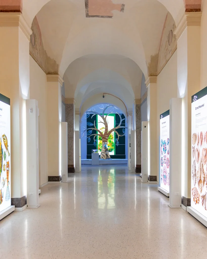Dettaglio 2: Lecce, l'Intelligenza Artificiale incontra la tutela della biodiversit&agrave;: al Convitto Palmieri il workshop AI4Nature