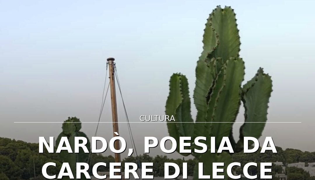 Anteprima di: Nardò, poesia da carcere di Lecce vince Premio Afrodite 2027