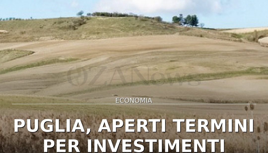 Foto di copertina: Puglia, aperti termini per investimenti agricoli con CSR 2023-2027 - Puglia