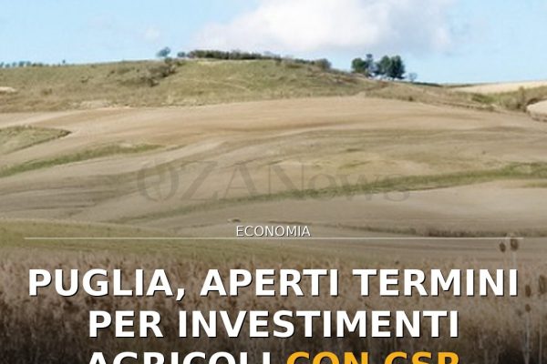 Puglia, aperti termini per investimenti agricoli con CSR 2023-2027