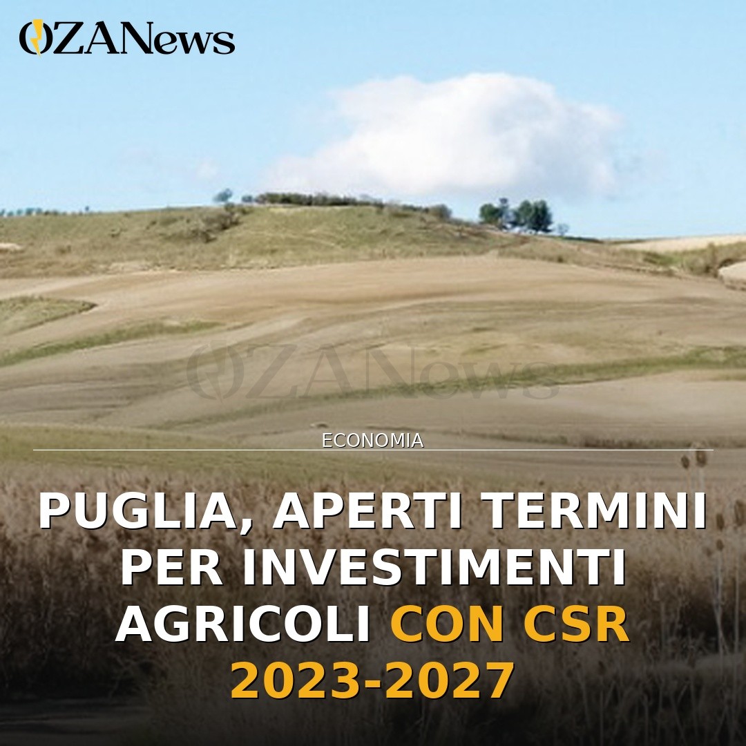 Foto 1: Puglia, aperti termini per investimenti agricoli con CSR 2023-2027 - Puglia