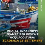 Foto di copertina: Puglia, indennizzi FEAMPA per pesca e acquacoltura: scadenza 16 settembre - Puglia