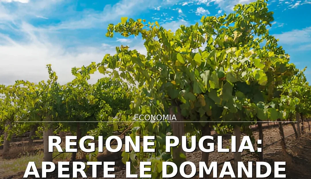 Anteprima di: Regione Puglia: Aperte le domande per i vigneti eroici e storici