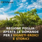 Anteprima di: Regione Puglia: Aperte le domande per i vigneti eroici e storici