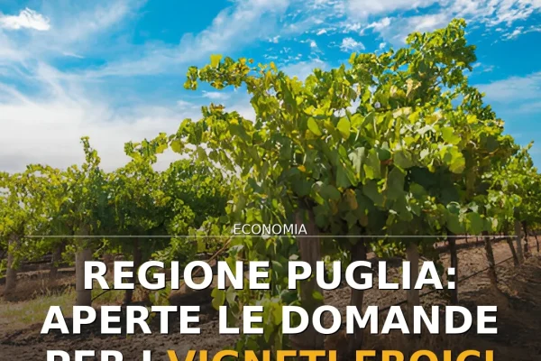 Regione Puglia: Aperte le domande per i vigneti eroici e storici