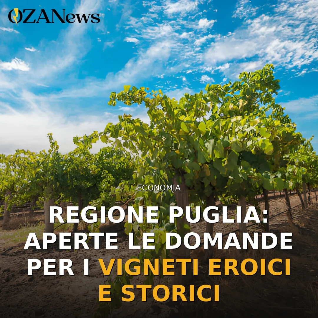 Foto: Regione Puglia: Aperte le domande per i vigneti eroici e storici