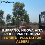 Anteprima di: Ruffano, nuova vita per il parco di via Torino: piantati 26 alberi