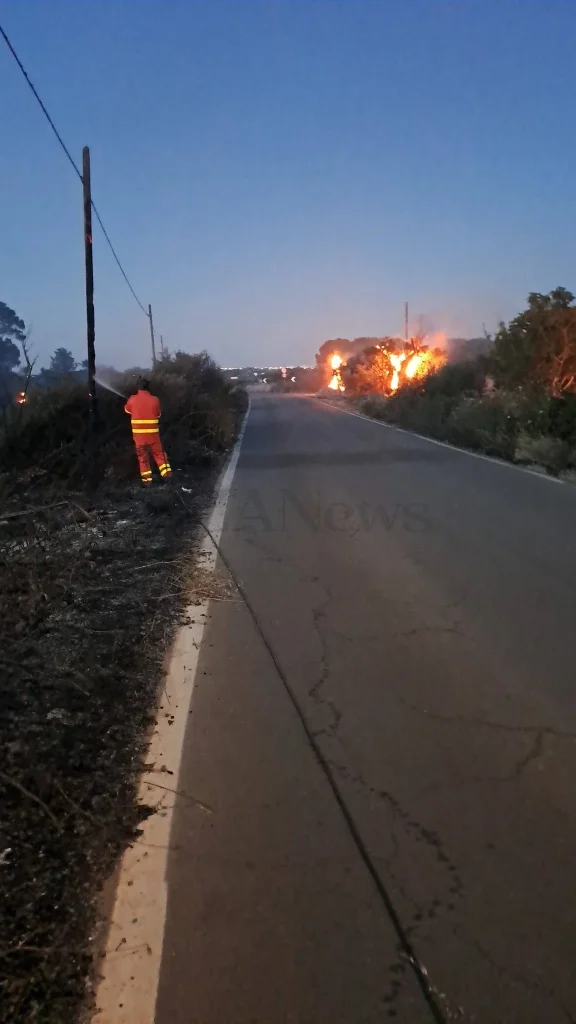 Dettaglio 1: Salento, l'allarme delle associazioni: da paradiso a 'Terra dei Fuochi' tra incendi e criticità ambientali