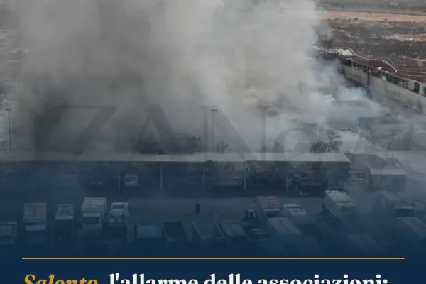 Salento, l’allarme delle associazioni: da paradiso a ‘Terra dei Fuochi’ tra incendi e criticità ambientali