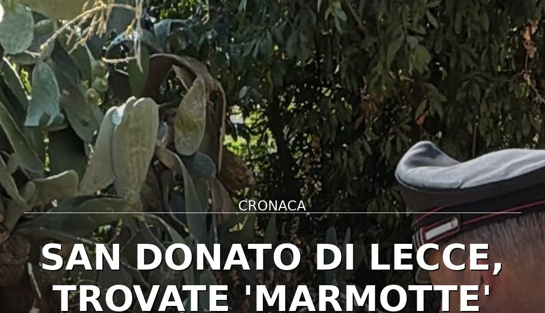 Foto di copertina: San Donato di Lecce, trovate ‘marmotte’ usate per assalto bancomat - Lecce