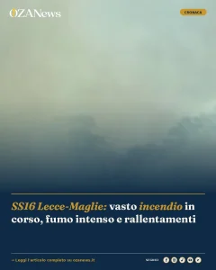 Foto di copertina: SS16 Lecce-Maglie: vasto incendio in corso, fumo intenso e rallentamenti - Lecce