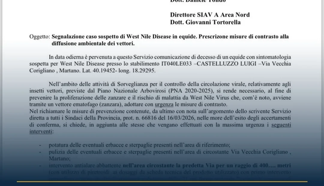 Anteprima di: Supersano, disinfestazione contro i vettori: Comune rassicura la cittadinanza