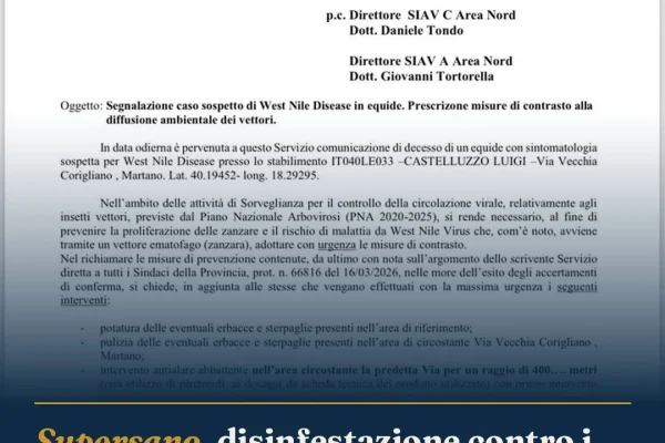 Supersano, disinfestazione contro i vettori: Comune rassicura la cittadinanza