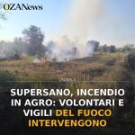 Anteprima di: Supersano, incendio in agro: Volontari e Vigili del Fuoco intervengono