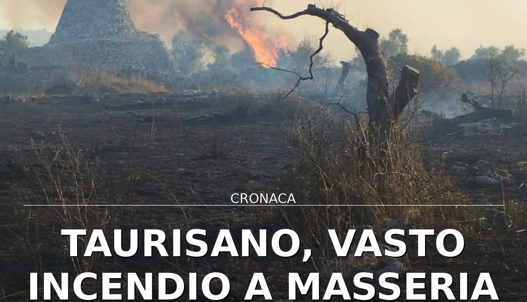 Foto di copertina: Taurisano, vasto incendio a masseria Don Franco: 40 ettari in fumo - Casarano