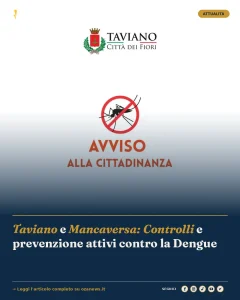 Anteprima di: Taviano e Mancaversa: Controlli e prevenzione attivi contro la Dengue
