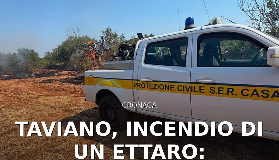 Foto di copertina: Taviano, incendio di un ettaro: Protezione Civile e Vvf in azione - Casarano