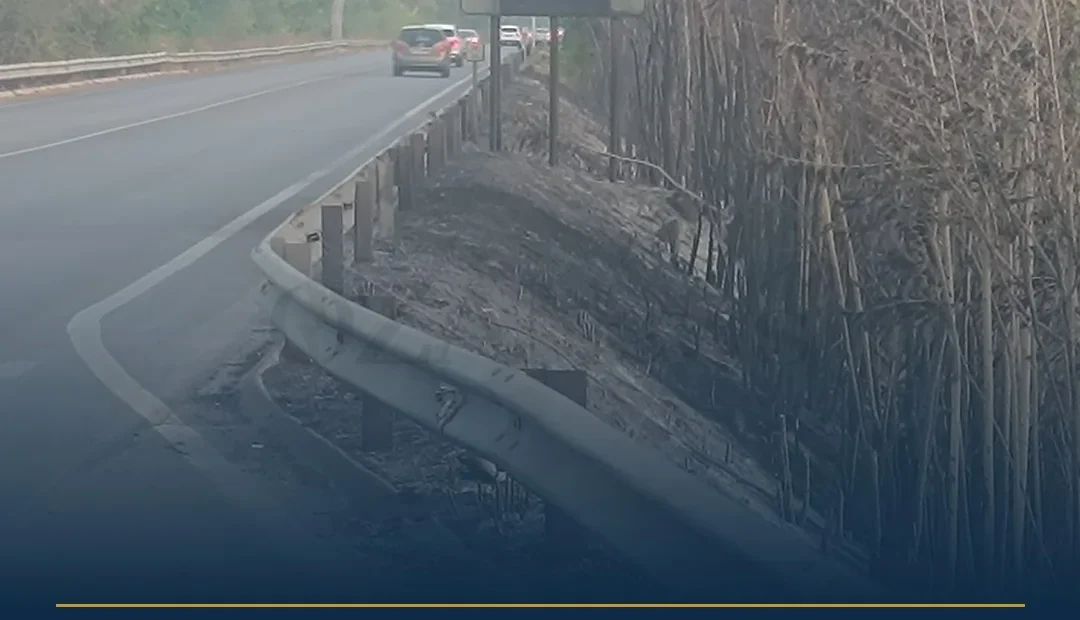 Anteprima di: Taviano, incendio sulla SS 274: fiamme sfiorano campo fotovoltaico, strada chiusa