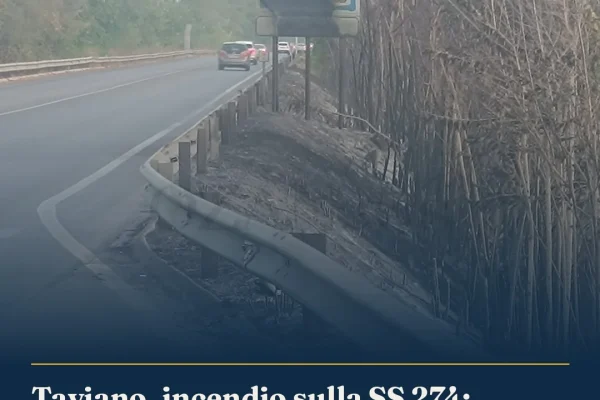 Taviano, incendio sulla SS 274: fiamme sfiorano campo fotovoltaico, strada chiusa