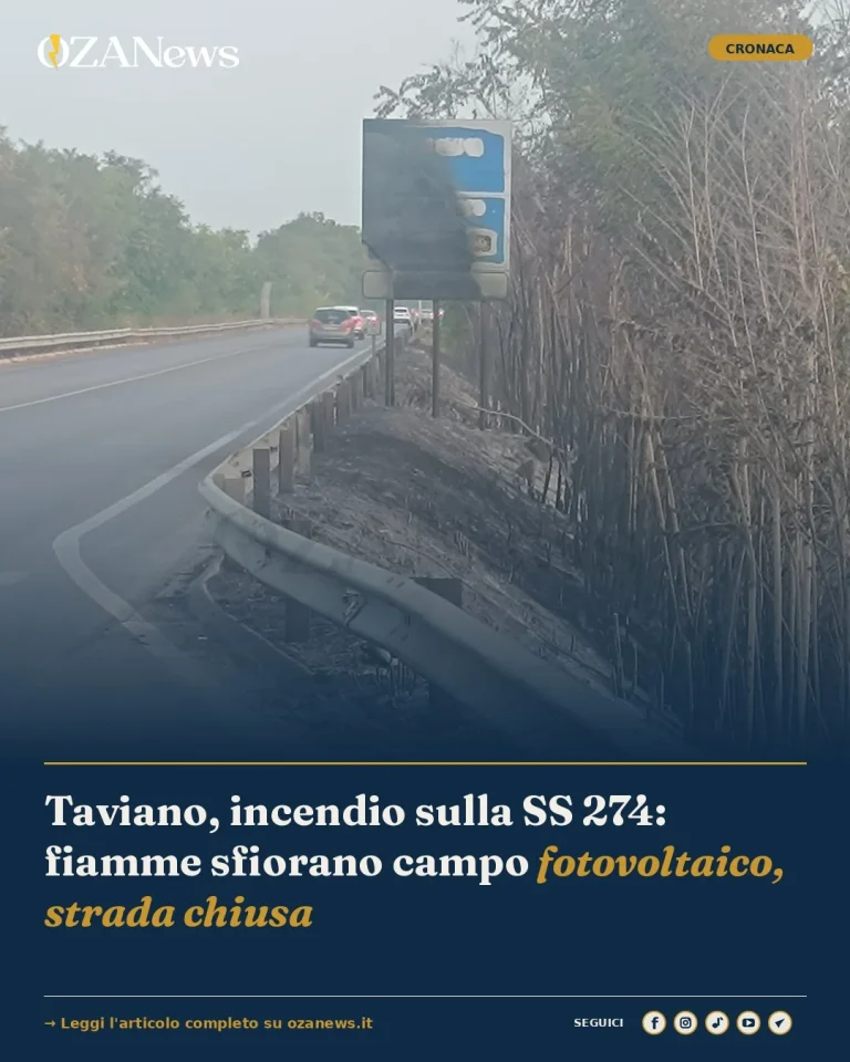 Taviano, incendio sulla SS 274: fiamme sfiorano campo fotovoltaico, strada chiusa