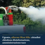Anteprima di: Ugento, allarme West Nile: cittadini chiedono disinfestazione, amministrazione tace