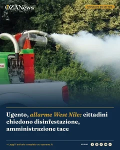 Anteprima di: Ugento, allarme West Nile: cittadini chiedono disinfestazione, amministrazione tace