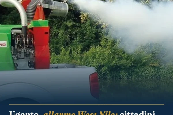 Ugento, allarme West Nile: cittadini chiedono disinfestazione, amministrazione tace