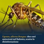 Anteprima di: Ugento, allerta Dengue: due casi autoctoni nel Salento, scatta la disinfestazione
