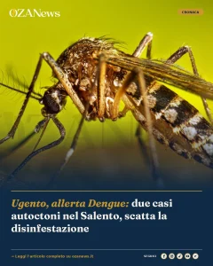 Ugento, allerta Dengue: due casi autoctoni nel Salento, scatta la disinfestazione