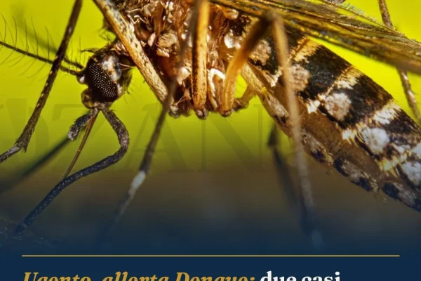Ugento, allerta Dengue: due casi autoctoni nel Salento, scatta la disinfestazione