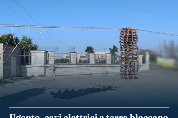 Ugento, cavi elettrici a terra bloccano azienda: soluzione improvvisata con pallet