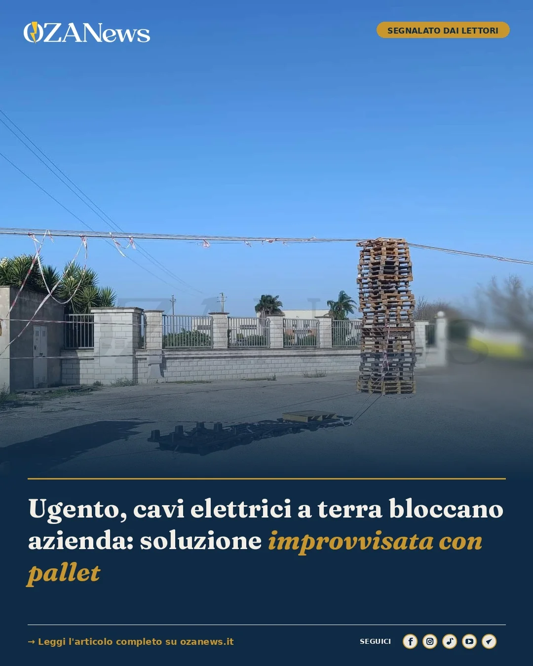 Foto: Ugento, cavi elettrici a terra bloccano azienda: soluzione improvvisata con pallet