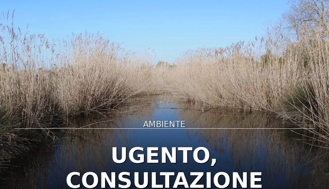 Foto di copertina: Ugento, consultazione pubblica su Litorale Natura 2000 - Puglia