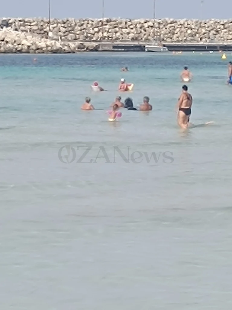 Dettaglio 1: Ugento, controlli in spiaggia: turista multato per alano senza guinzaglio