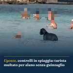 Anteprima di: Ugento, controlli in spiaggia: turista multato per alano senza guinzaglio