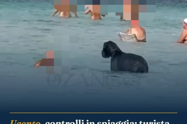 Ugento, controlli in spiaggia: turista multato per alano senza guinzaglio