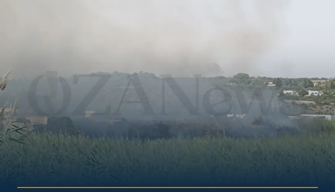 Anteprima di: Ugento, incendio nel parco litorale: fiamme distruggono ettari di canneto