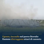 Anteprima di: Ugento, incendio nel parco litorale: fiamme distruggono ettari di canneto