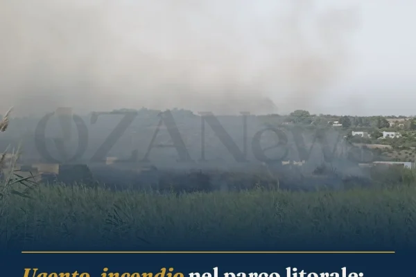 Ugento, incendio nel parco litorale: fiamme distruggono ettari di canneto