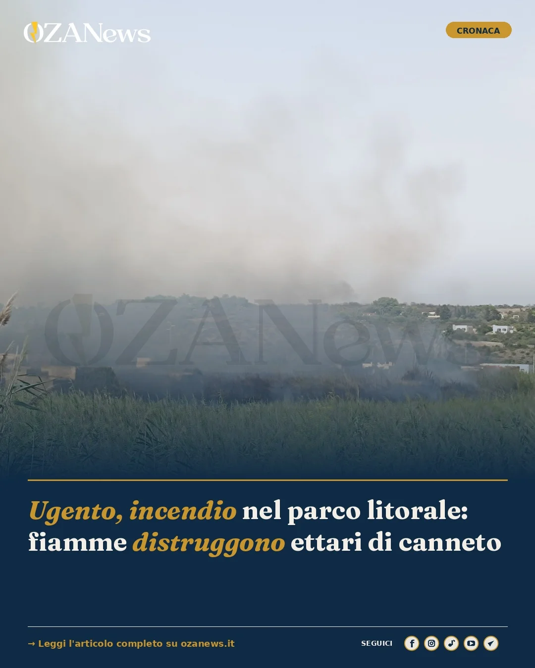 Foto: Ugento, incendio nel parco litorale: fiamme distruggono ettari di canneto