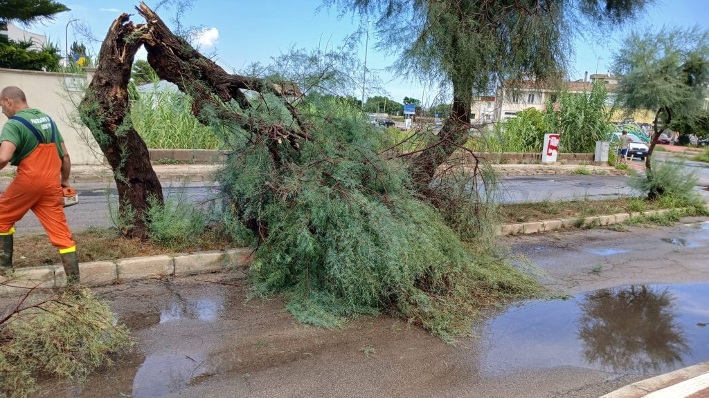 Dettaglio 3: Ugento, maltempo: marine colpite da bomba d'acqua, danni e disagi