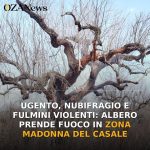 Anteprima di: Ugento, nubifragio e fulmini violenti: albero prende fuoco in zona Madonna del Casale