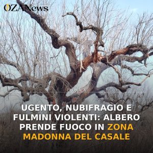 Ugento, nubifragio e fulmini violenti: albero prende fuoco in zona Madonna del Casale