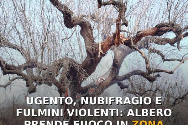 Ugento, nubifragio e fulmini violenti: albero prende fuoco in zona Madonna del Casale