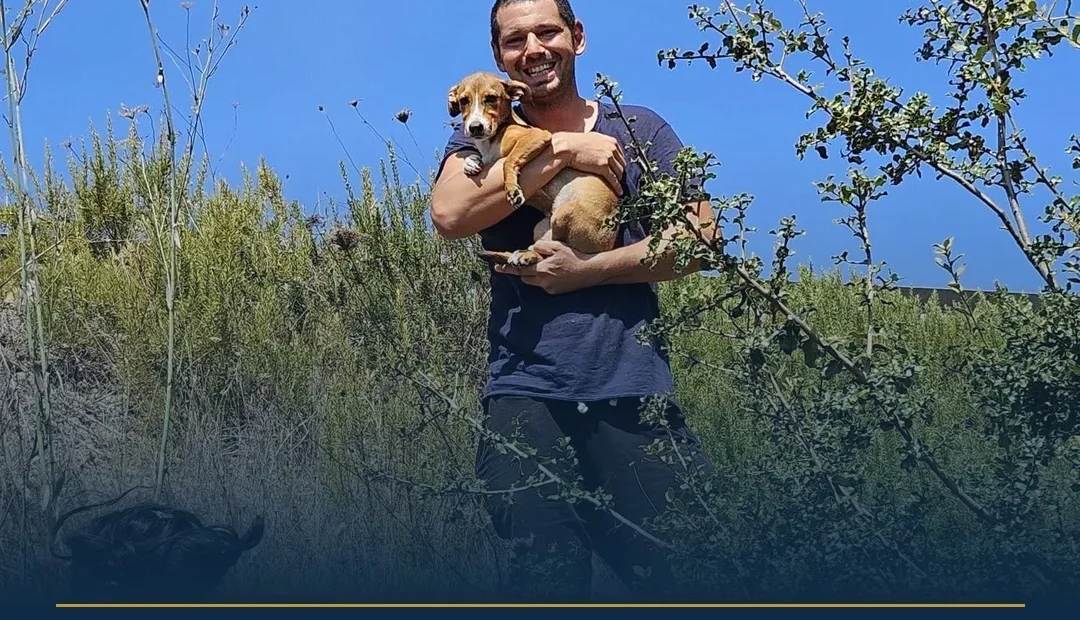 Anteprima di: Acquarica del Capo, Kikka è tornata a casa: ritrovata la cagnolina scomparsa